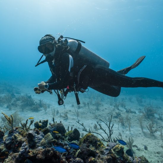 female diver posing among the corals