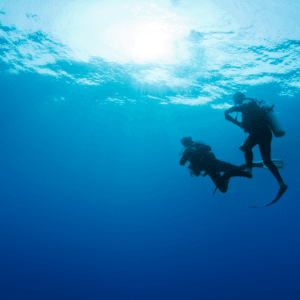 Deux plongeurs en autonomie évoluant sous la surface, silhouettes à contre-jour dans l'eau bleue